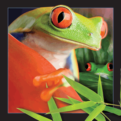 3D kort frø