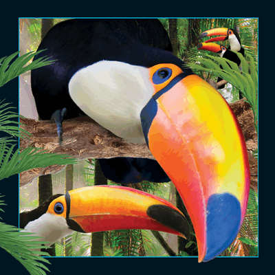 3D Kort Tucan