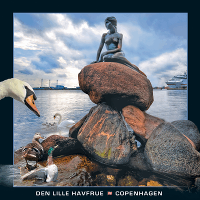 3D Kort Den Lille Havfrue