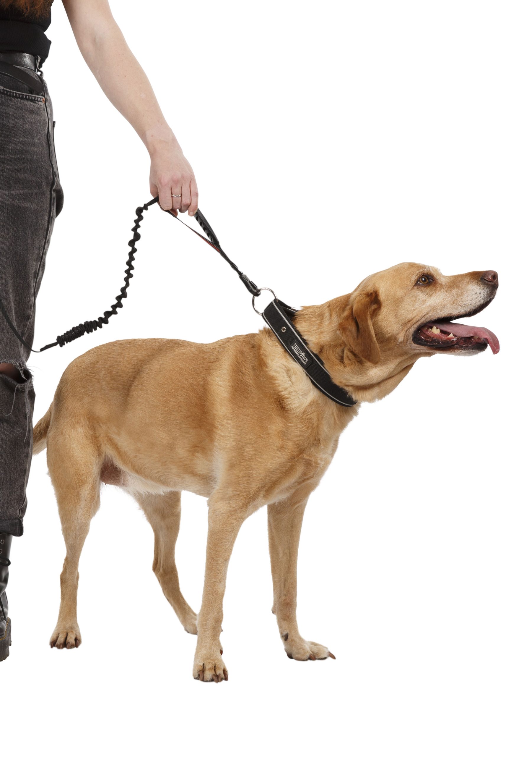Hundesnor zathena - Billede 3